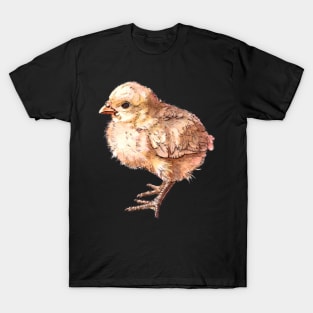 Baby Chick T-Shirt